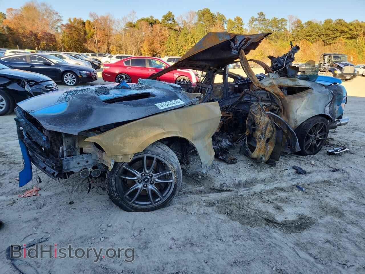 Photo 1ZVBP8CF3D5256223 - FORD MUSTANG 2013
