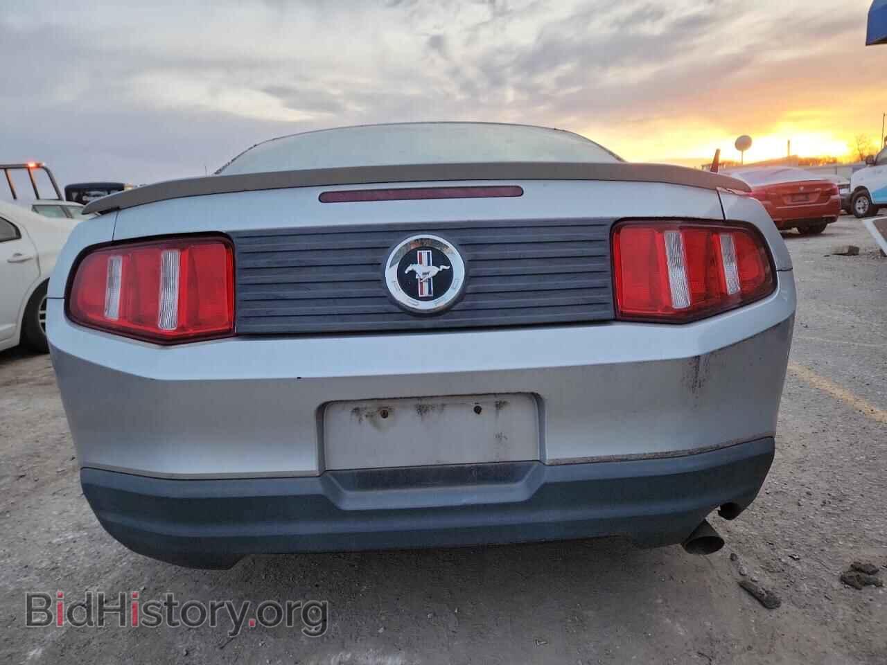 2010 FORD ALL Models - VIN: 1ZVBP8AN6A5137006 - Фото 6