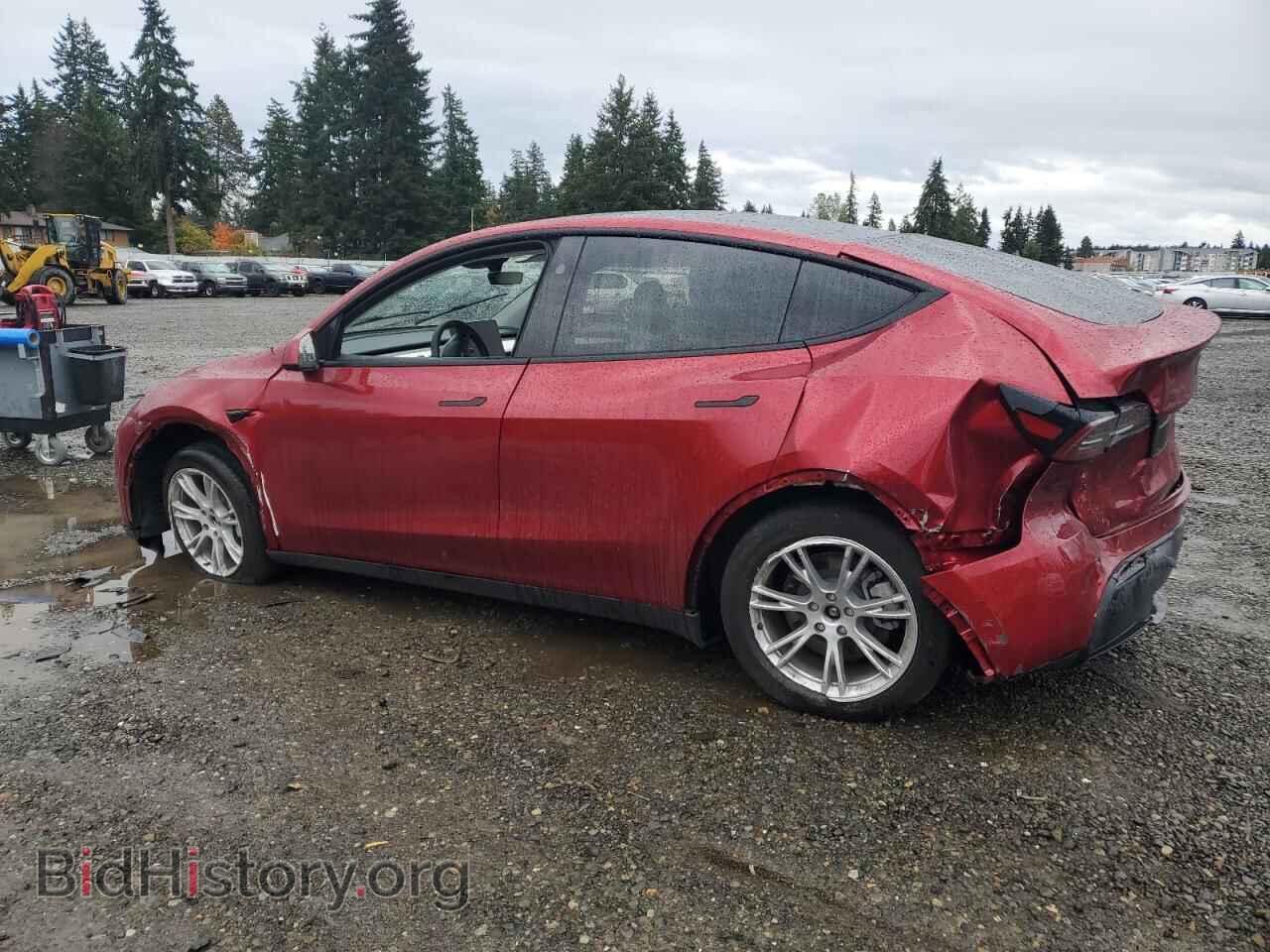 2024 TESLA MODEL Y - VIN: 7SAYGDEEXRF002639 - Photo 2