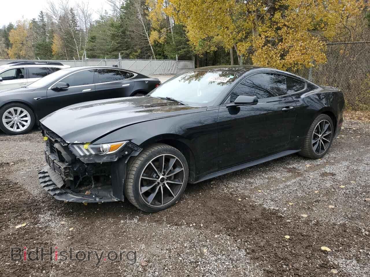 Photo 1FA6P8TH2G5300678 - FORD ALL Models 2016