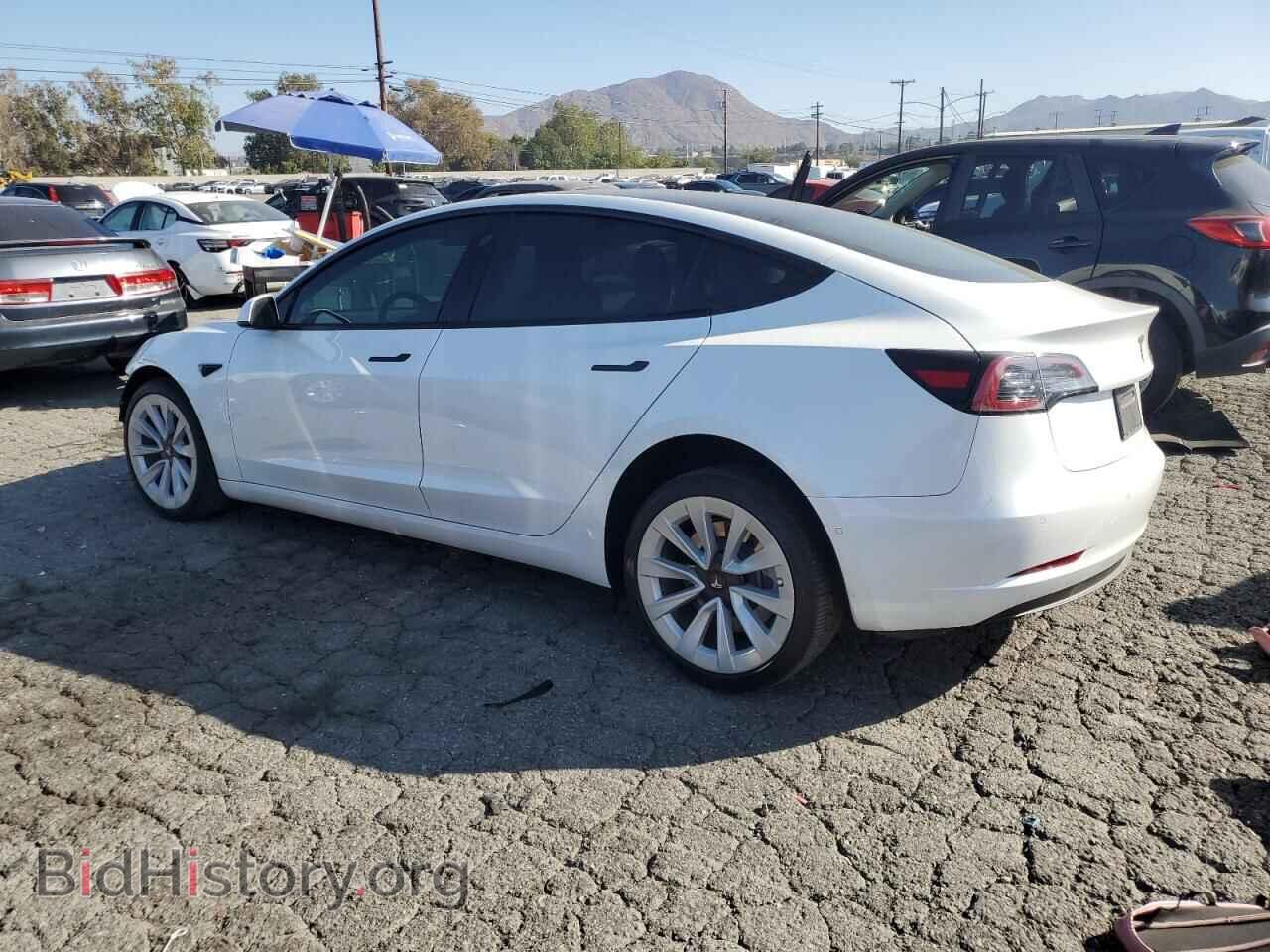 2021 TESLA MODEL 3 - VIN: 5YJ3E1EA1MF062956 - Photo 2