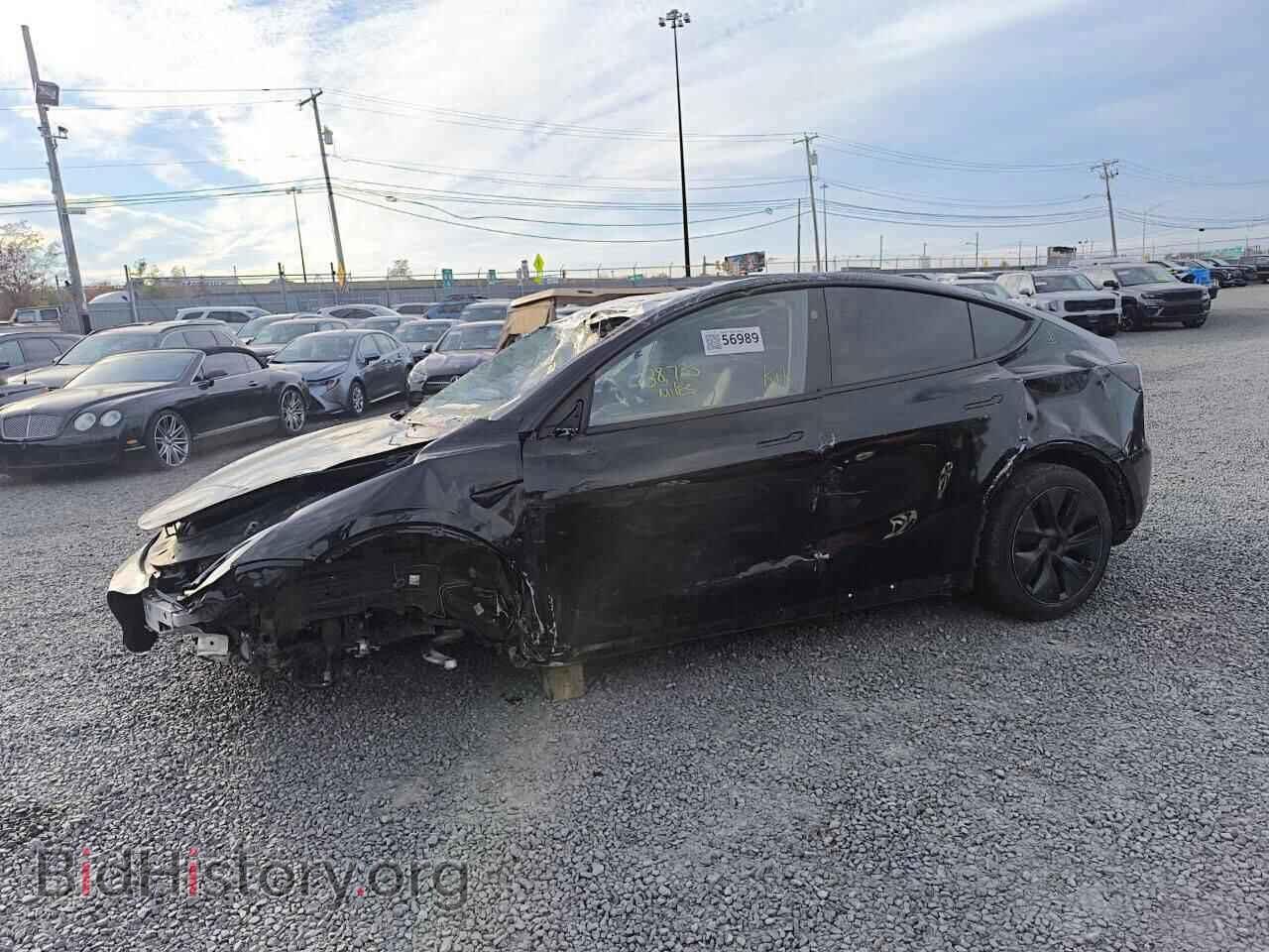 Photo 7SAYGDEE6RF197672 - TESLA MODEL Y 2024
