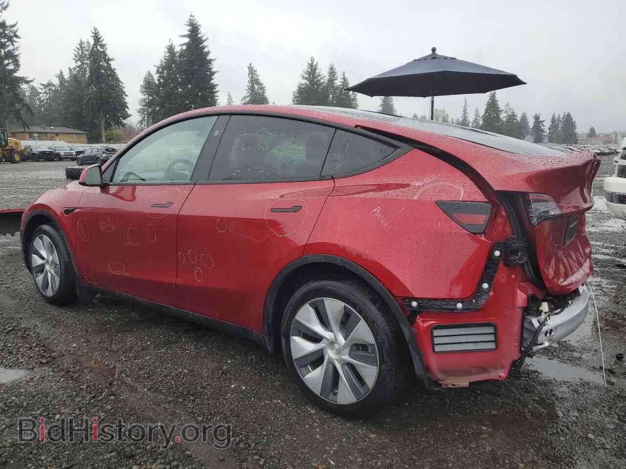 2024 TESLA MODEL Y - VIN: 7SAYGDEE4RF066711 - Фото 2