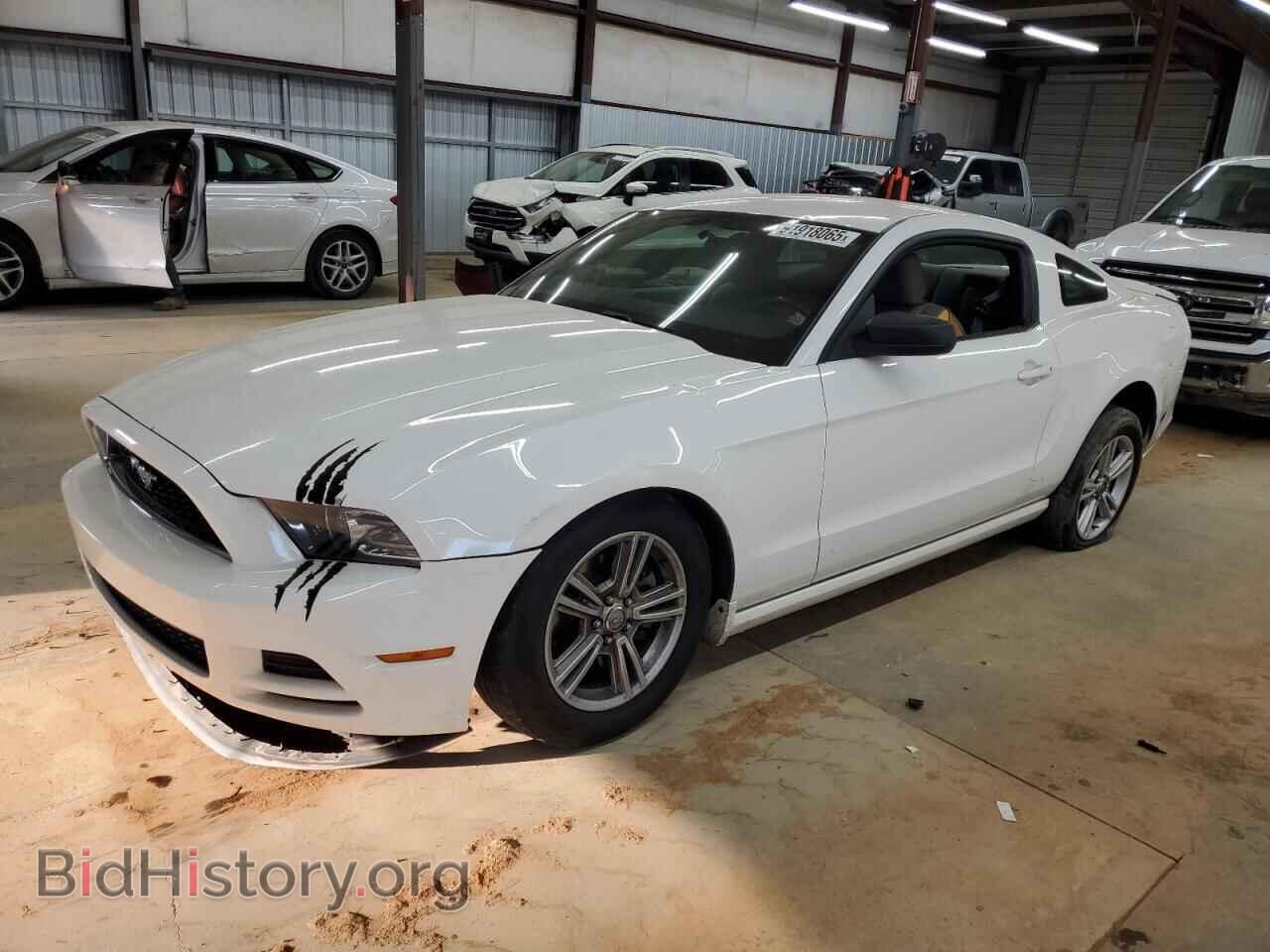 Photo 1ZVBP8AM0D5259758 - FORD ALL Models 2013