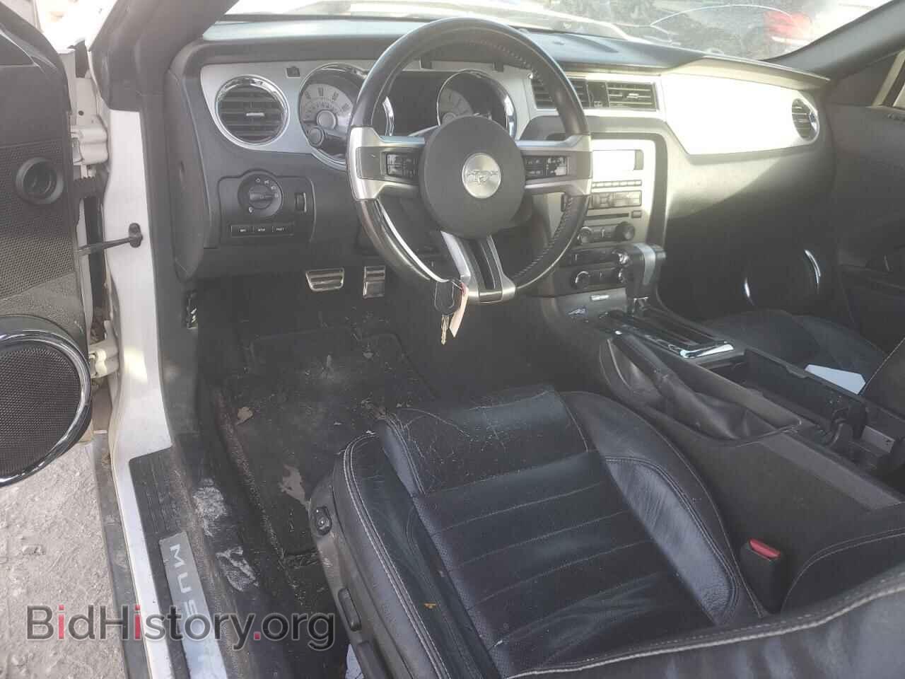 2010 FORD ALL Models - VIN: 1ZVBP8AN4A5138820 - Фото 8