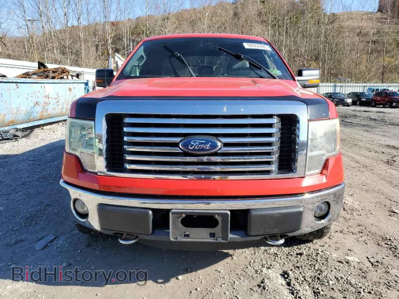 2011 FORD F-150 - VIN: 1FTFX1EF2BFB82406 - Фото 5