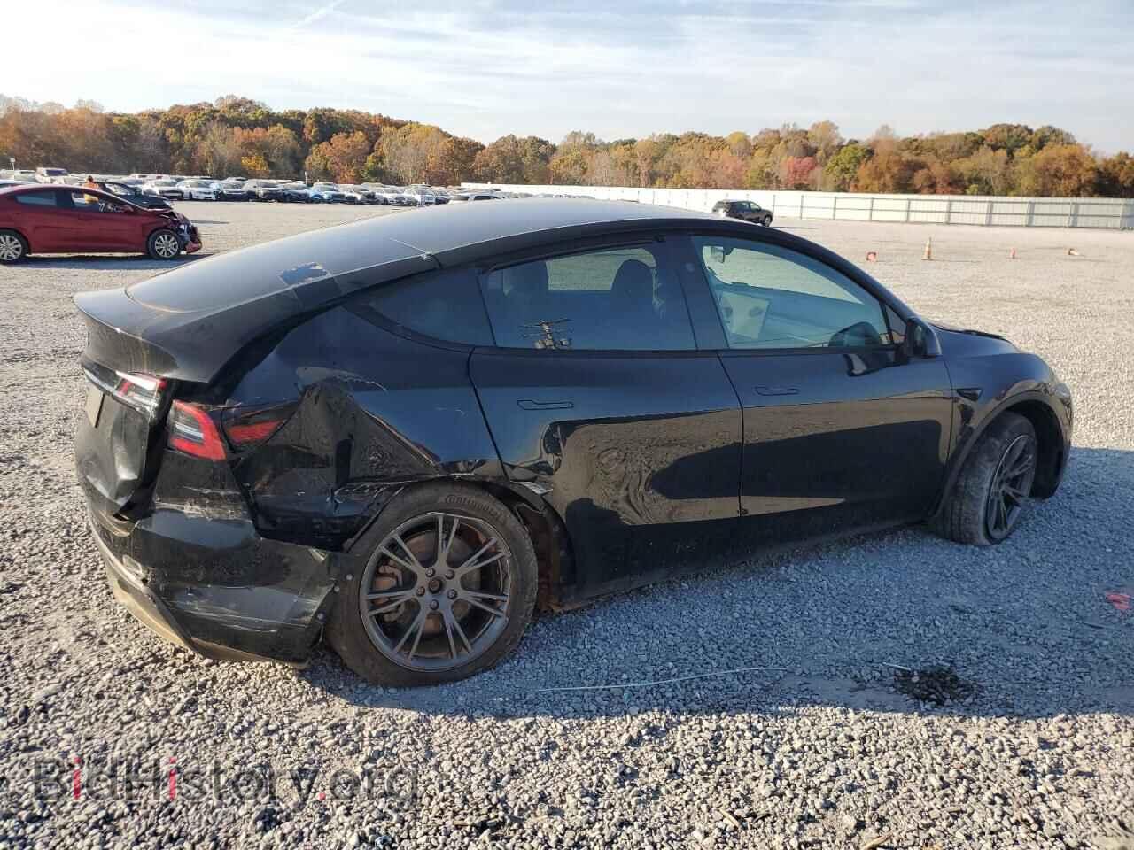 2025 TESLA MODEL Y - VIN: 7SAYGDED8SA340678 - Фото 3