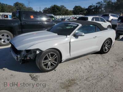 2017 Ford ALL MODELS, white — VIN 1FATP8UH1H5313439, Copart