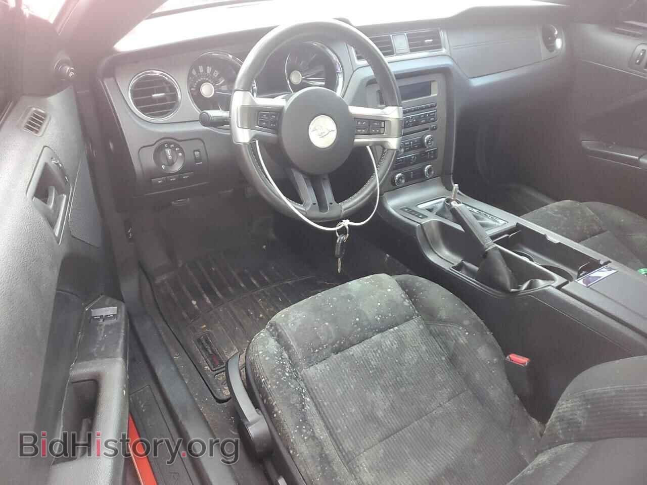 2012 FORD MUSTANG - VIN: 1ZVBP8CF1C5263055 - Фото 8