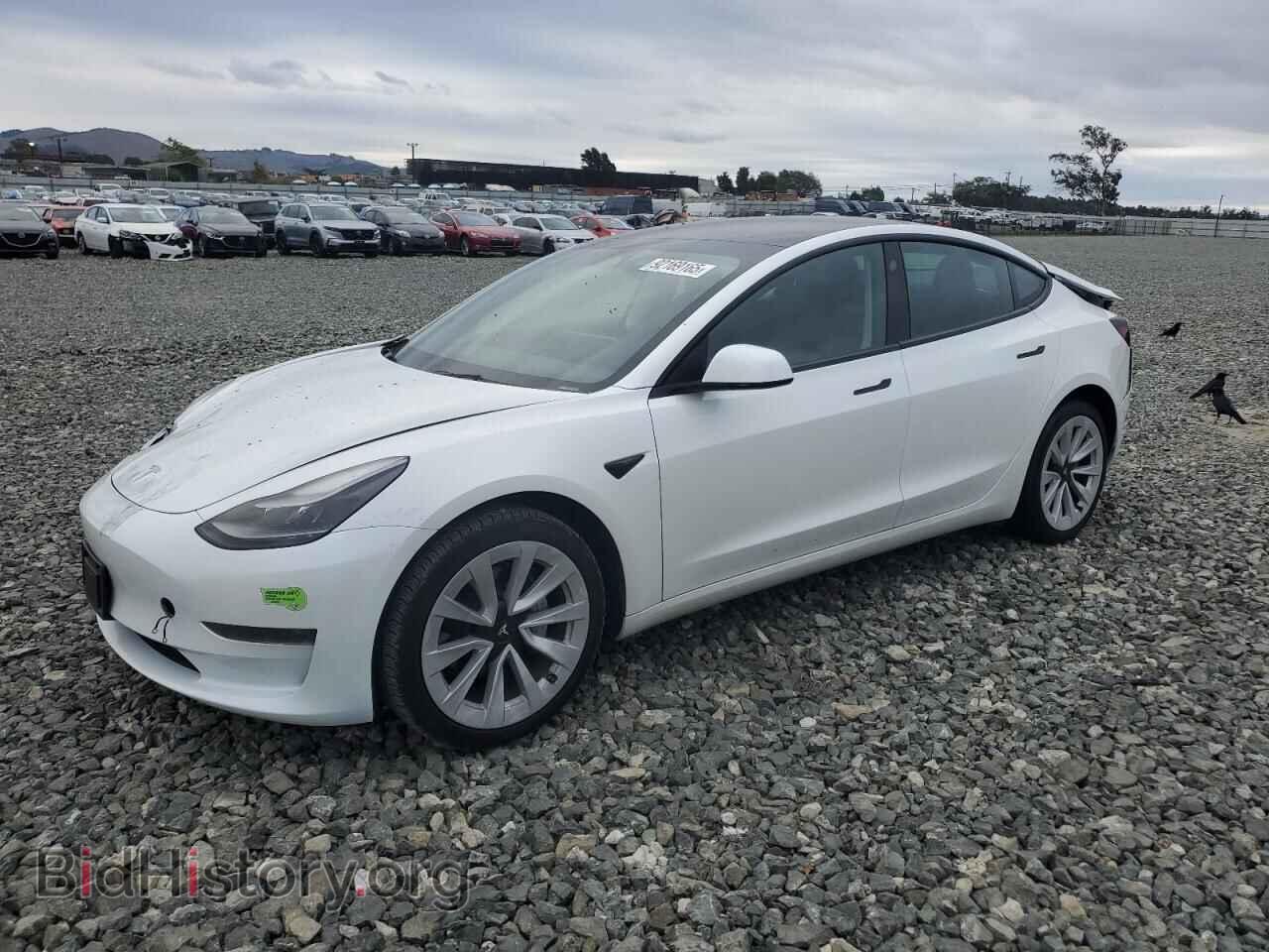 Photo 5YJ3E1EAXPF496815 - TESLA MODEL 3 2023