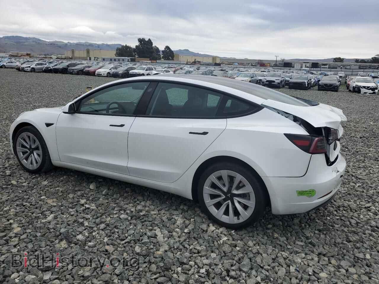2023 TESLA MODEL 3 - VIN: 5YJ3E1EAXPF496815 - Photo 2