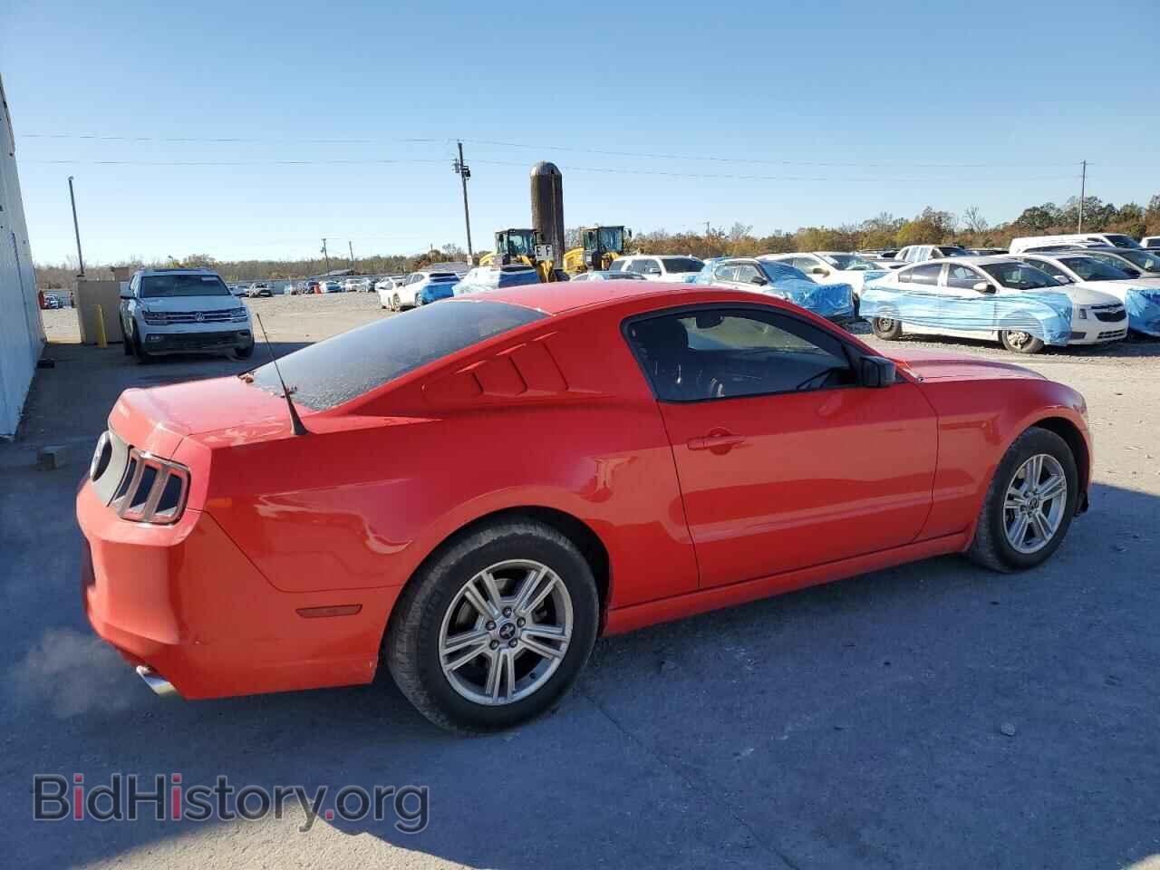 2013 FORD ALL Models - VIN: 1ZVBP8AM9D5261041 - Фото 3