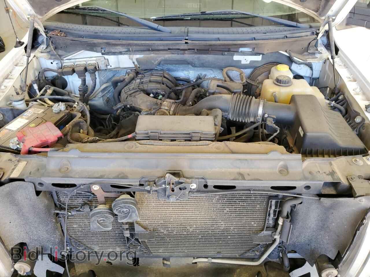 2014 FORD All Models - VIN: 1FTMF1CM5EKF02549 - Photo 11