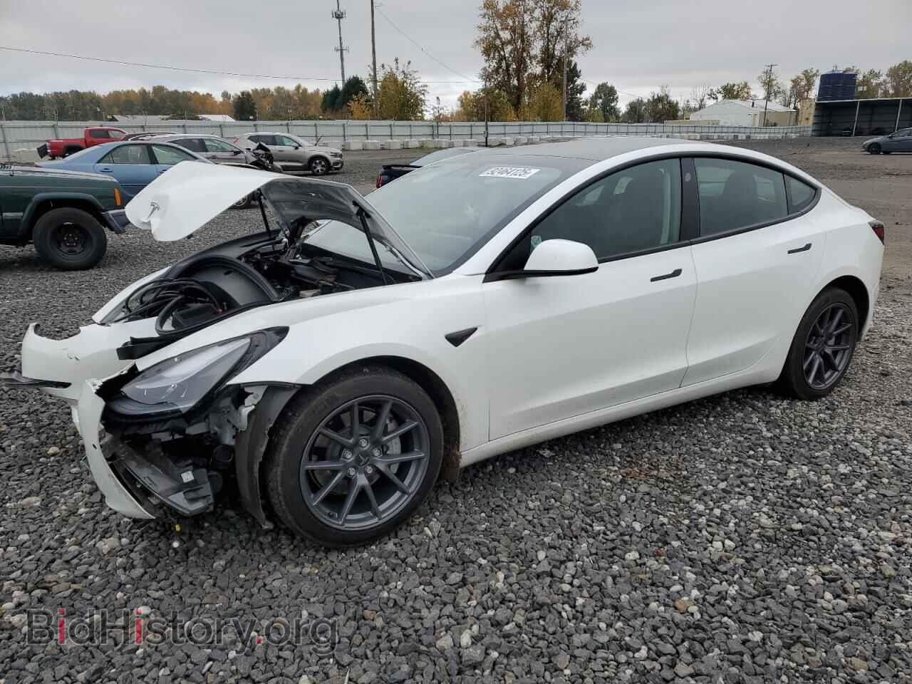 Photo 5YJ3E1EA7MF054134 - TESLA MODEL 3 2021