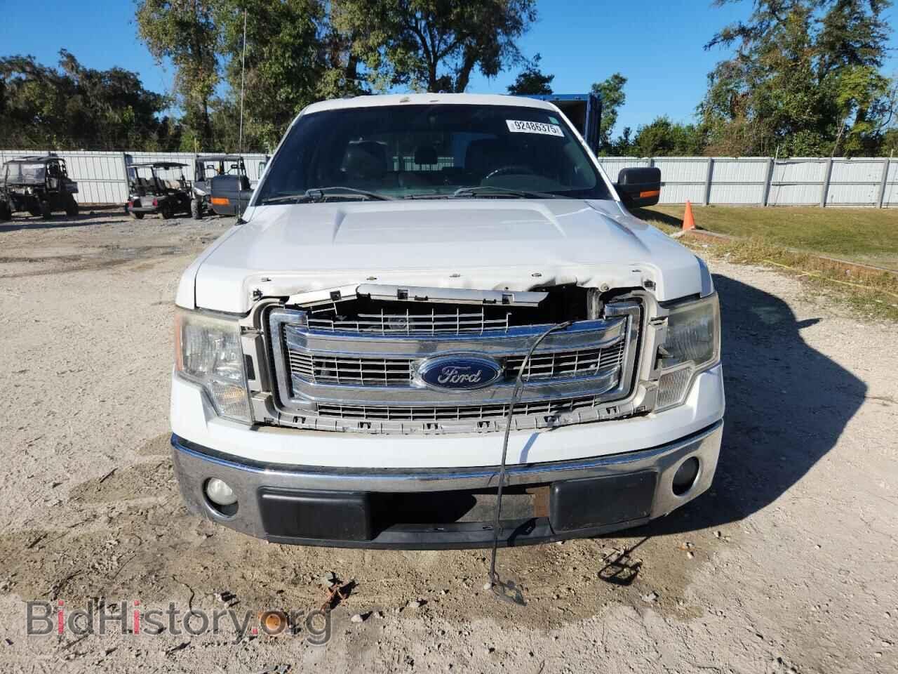 2013 FORD F150 - VIN: 1FTEW1CM2DFA11349 - Фото 5