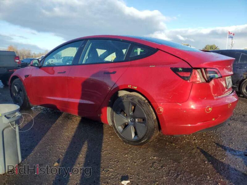 2021 Tesla MODEL 3 (VIN 5YJ3E1EB1MF085579) — photo 2 of 13