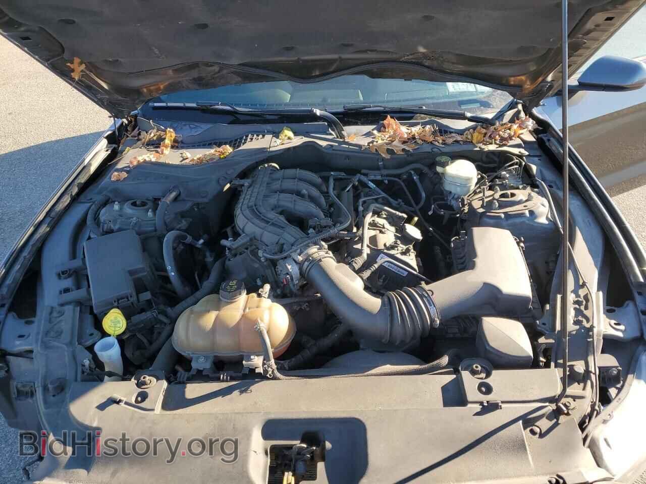 2015 FORD ALL Models - VIN: 1FA6P8AM5F5360646 - Photo 11