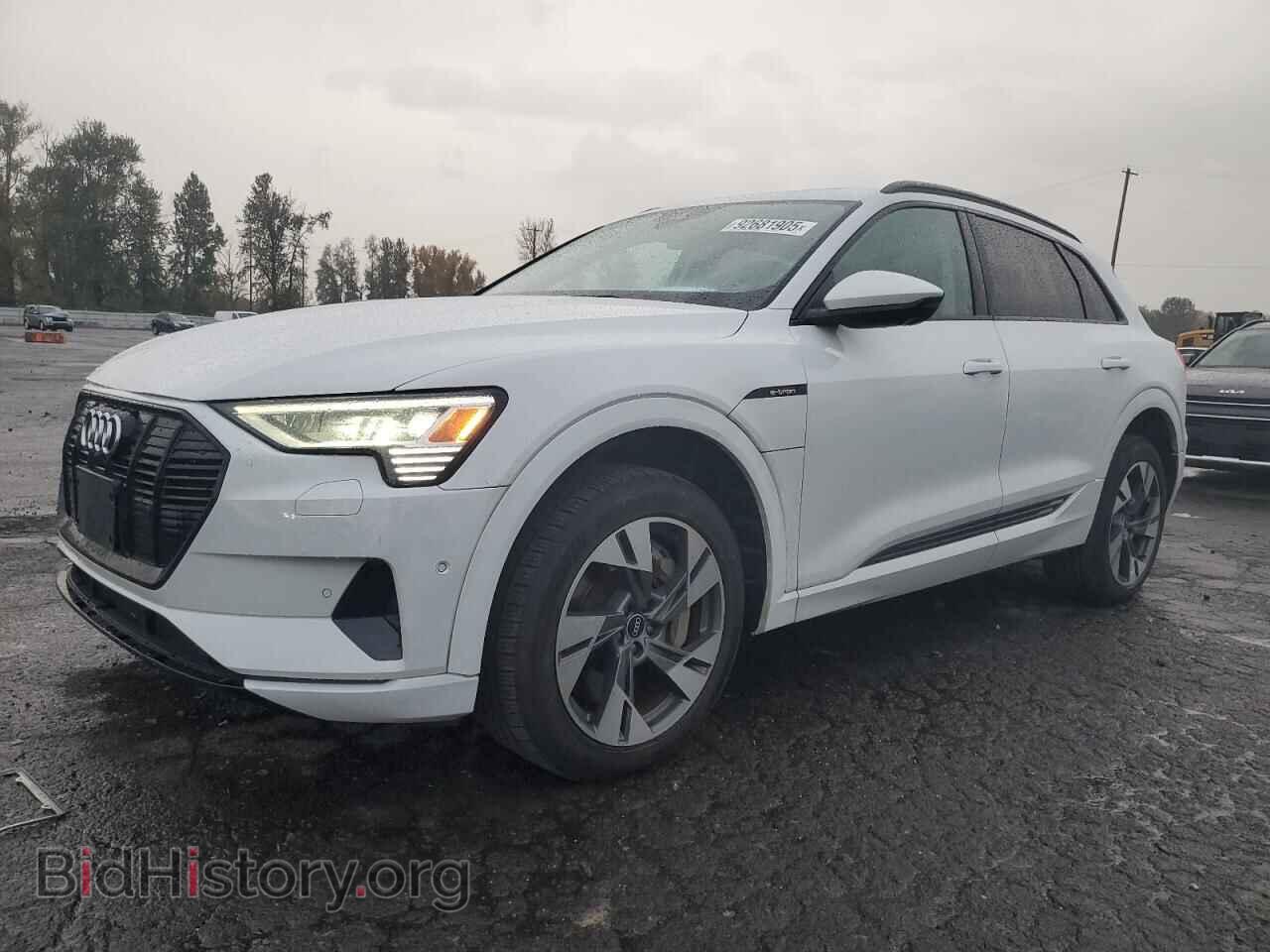 Photo WA1AAAGE8MB010630 - AUDI E-TRON 2021