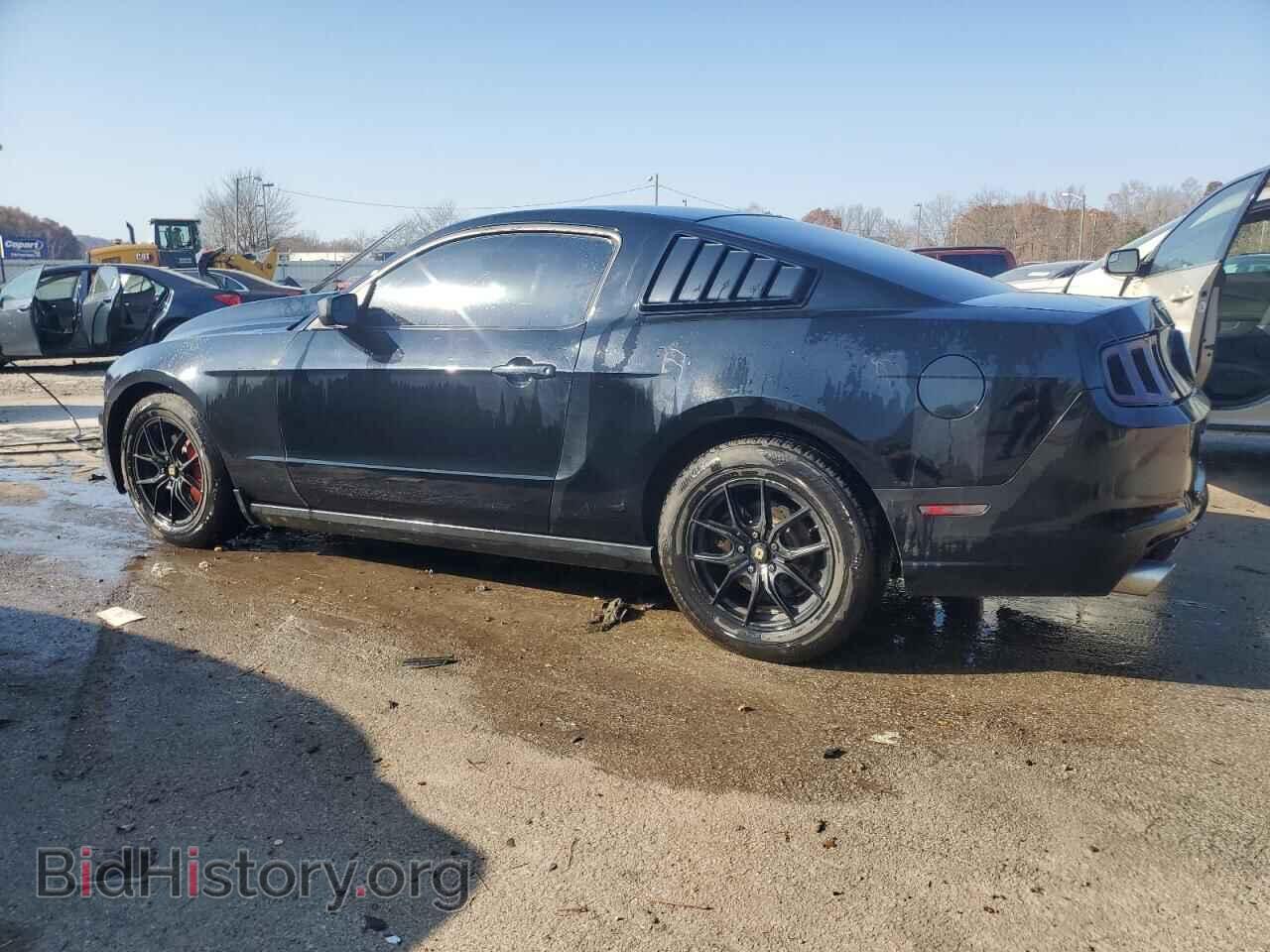 2013 FORD ALL Models - VIN: 1ZVBP8AM6D5250689 - Фото 2