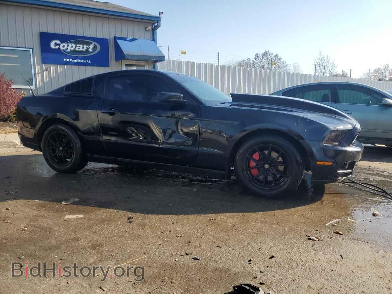 2013 FORD ALL Models - VIN: 1ZVBP8AM6D5250689 - Фото 4