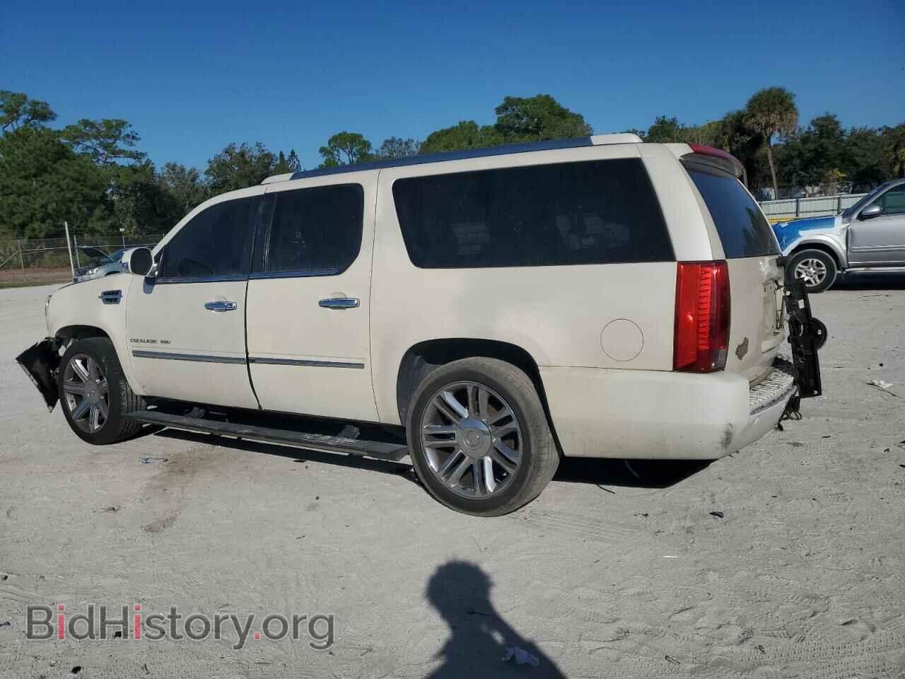 2011 CADILLAC ESCALADE - VIN: 1GYS3JEF1BR354377 - Фото 2