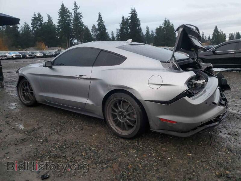 2020 Ford ALL MODELS (VIN 1FA6P8TH5L5163276) — фото 2 из 14