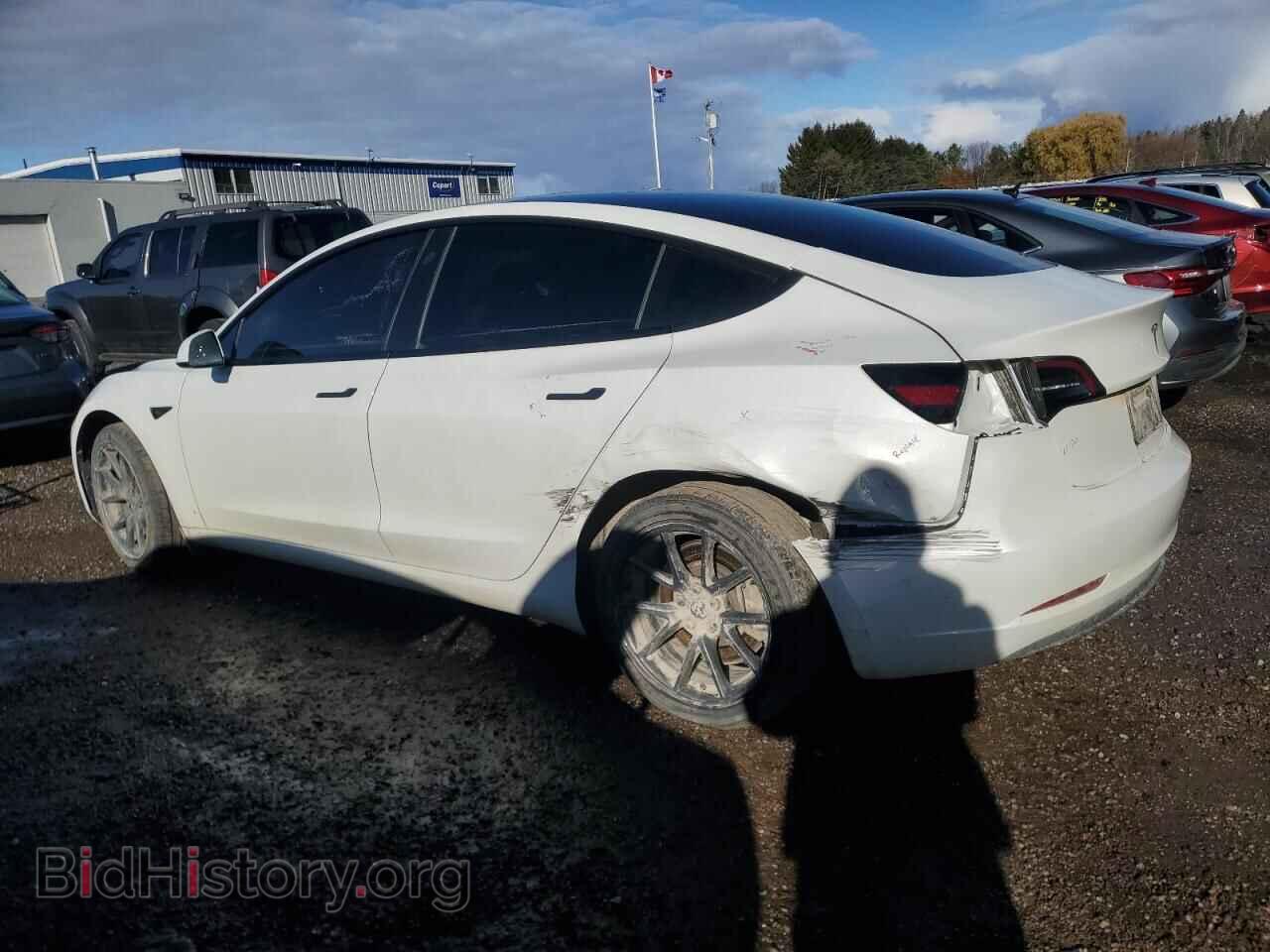 2023 TESLA MODEL 3 - VIN: 5YJ3E1EA9PF491136 - Фото 2