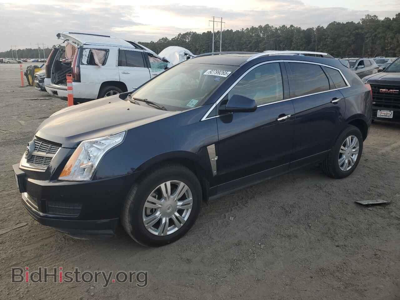 Photo 3GYFNAEY7BS554187 - CADILLAC SRX 2011