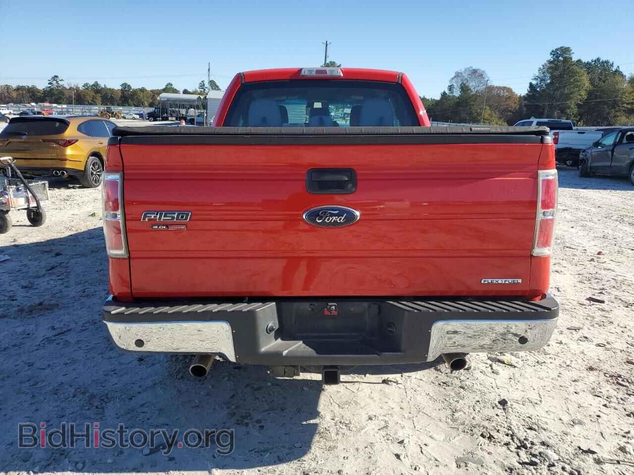 2013 FORD F-150 - VIN: 1FTFX1CF3DFD75184 - Фото 6