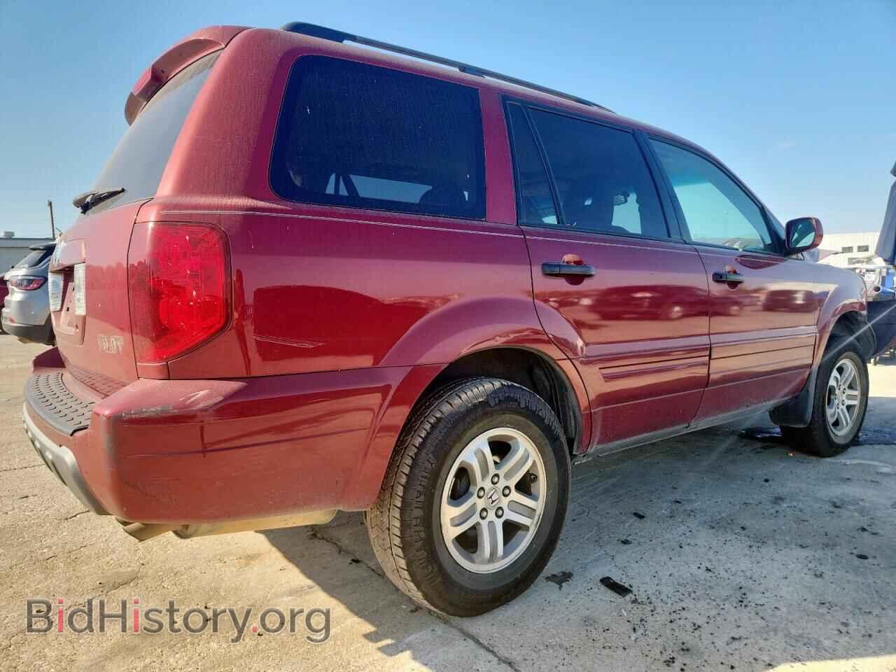 2005 HONDA PILOT - VIN: 5FNYF18565B030569 - Фото 3