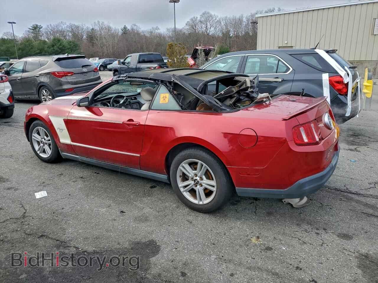 2010 FORD ALL Models - VIN: 1ZVBP8EN5A5167561 - Фото 2