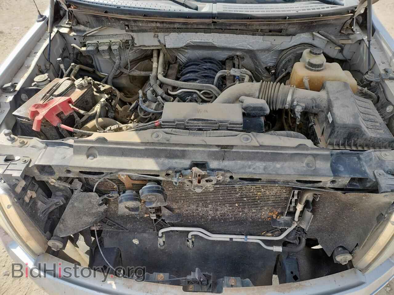 2013 FORD F-150 - VIN: 1FTFW1CF6DFD49701 - Фото 11
