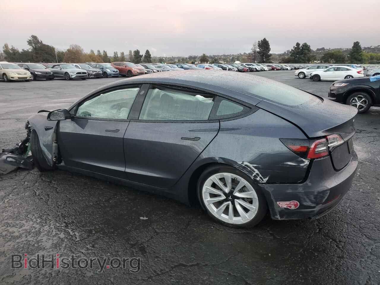 2023 TESLA MODEL 3 - VIN: 5YJ3E1EA1PF694246 - Photo 2