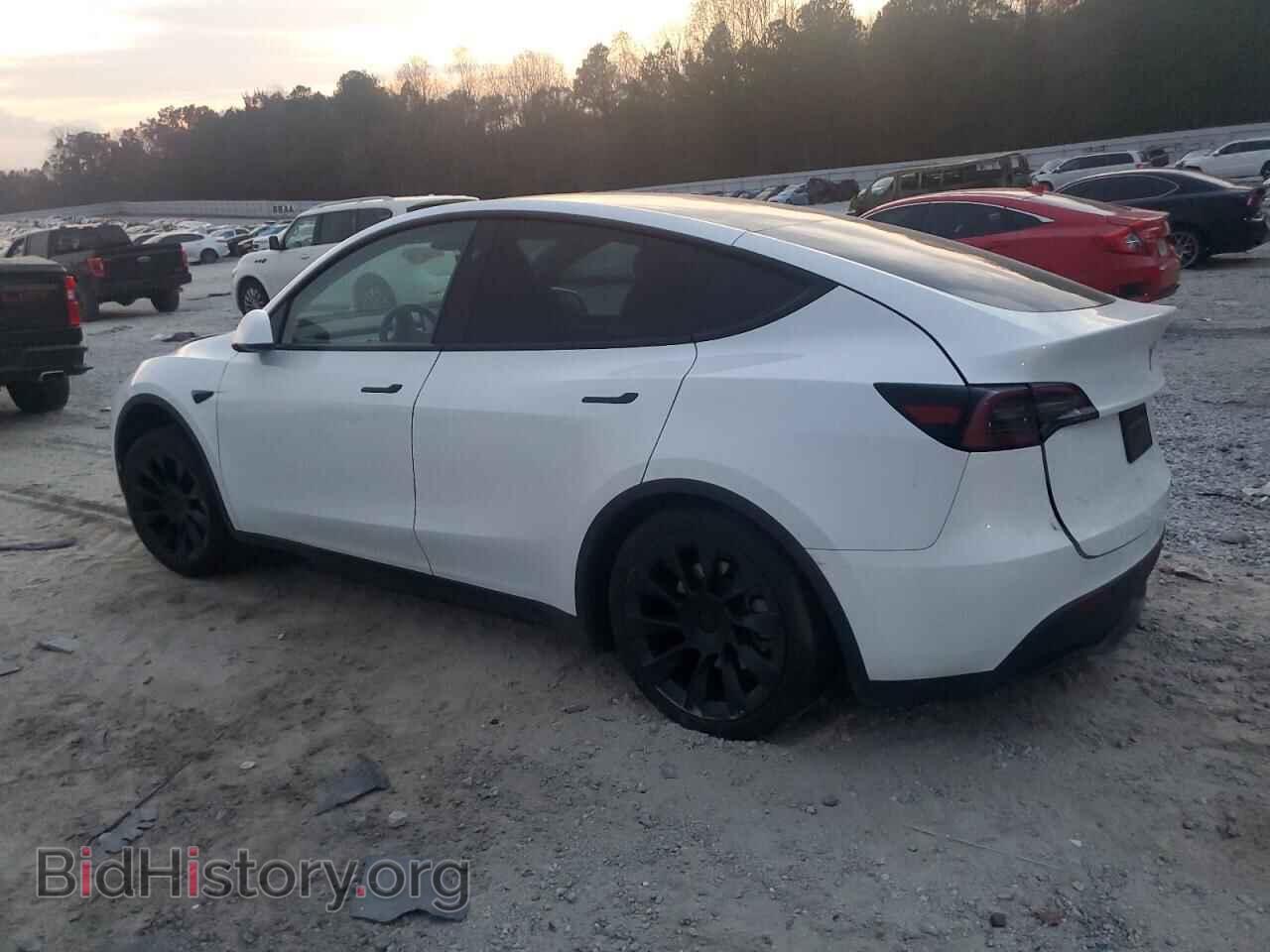2024 TESLA MODEL Y - VIN: 7SAYGDEE5RA261732 - Фото 2