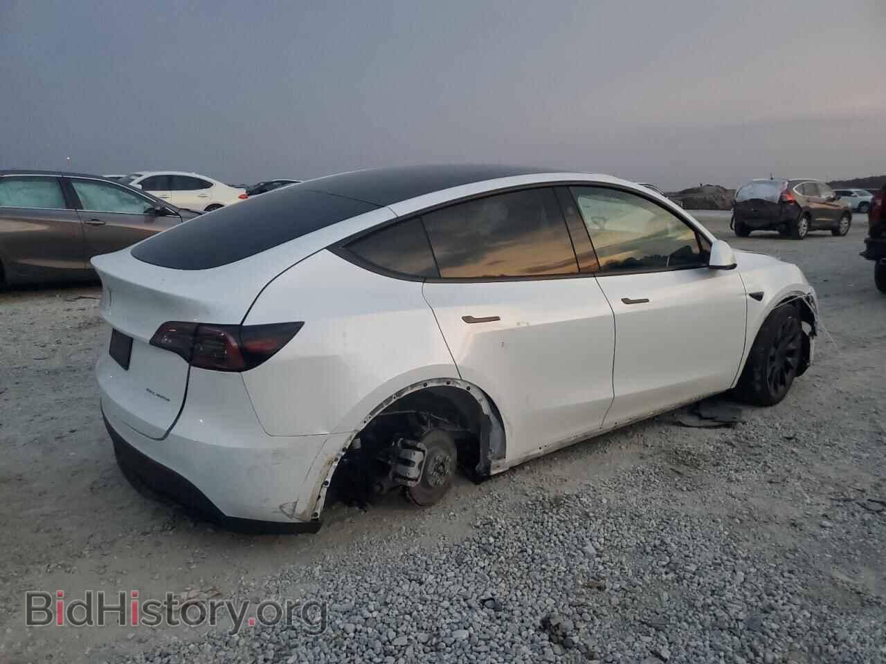 2024 TESLA MODEL Y - VIN: 7SAYGDEE5RA261732 - Фото 3