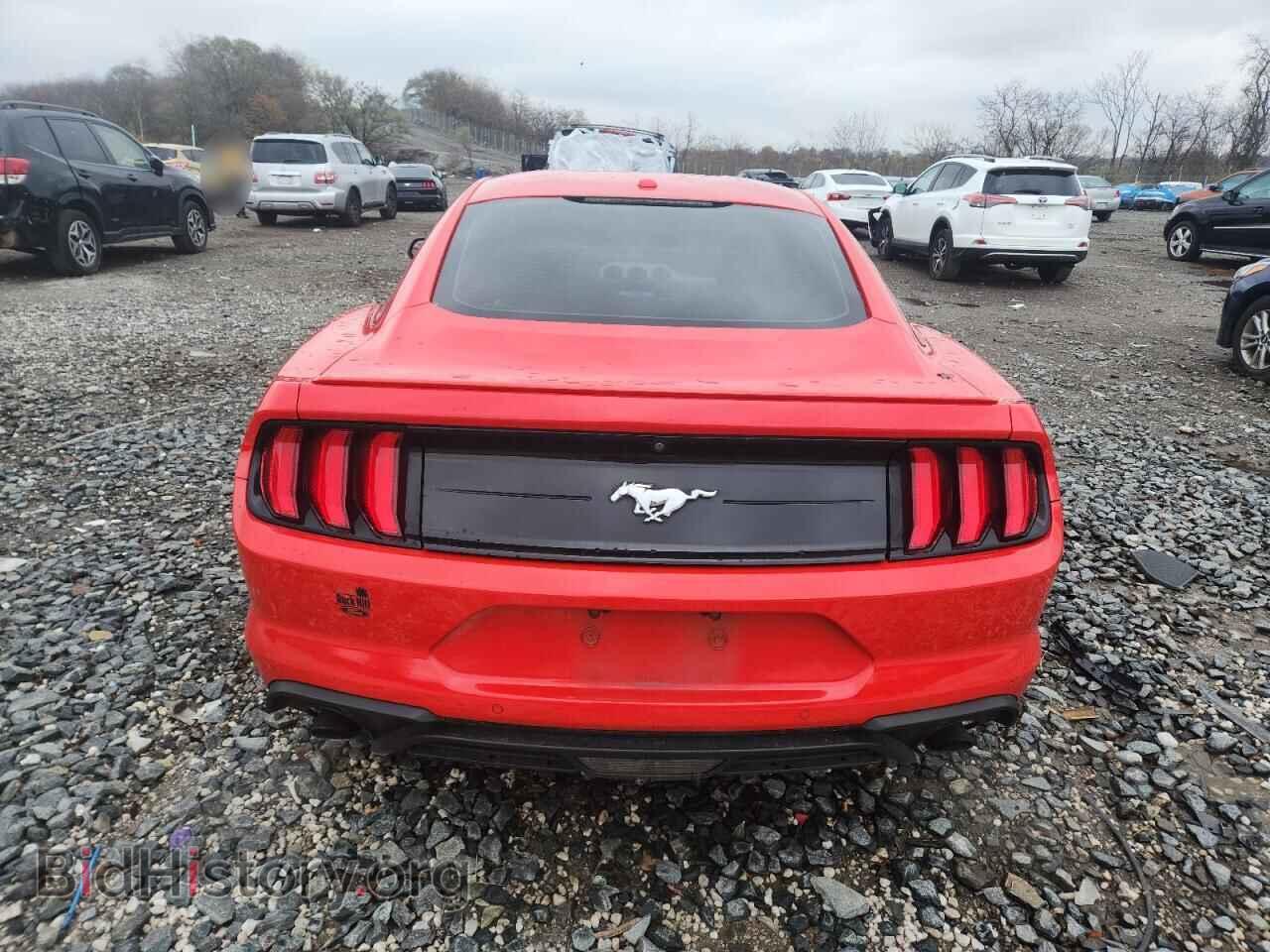 2019 FORD ALL Models - VIN: 1FA6P8TH9K5197462 - Photo 6