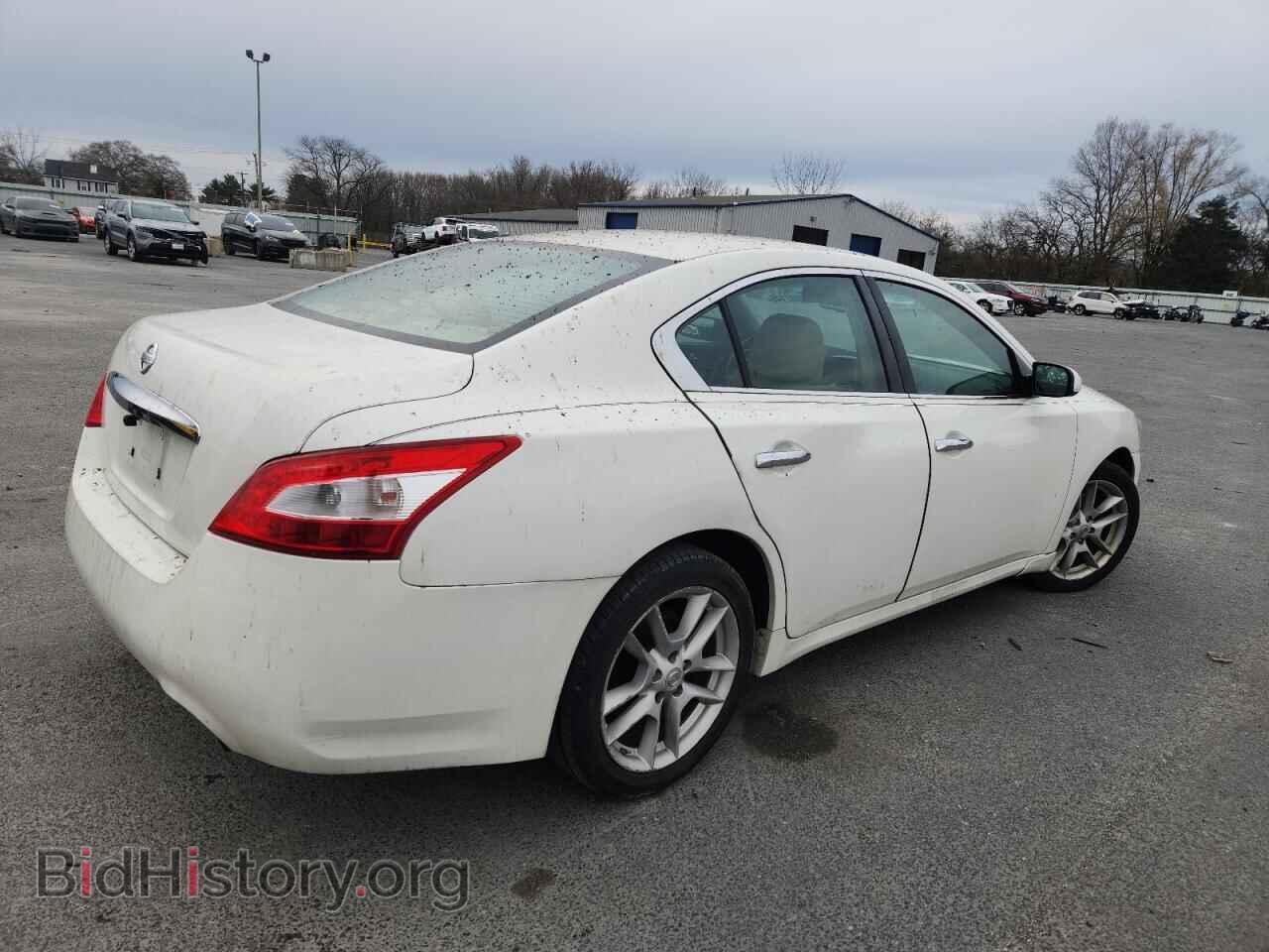 2009 NISSAN MAXIMA - VIN: 1N4AA51E69C857739 - Фото 3