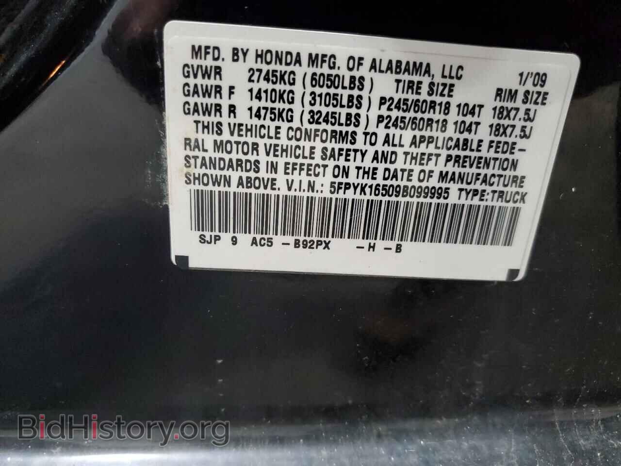 2009 HONDA RIDGELINE - VIN: 5FPYK16509B099995 - Фото 12