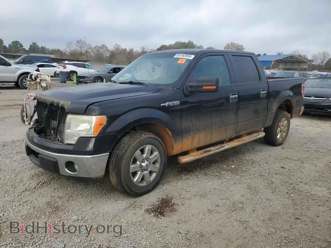 Фотография 1FTFW1CF4DFD30919 - FORD F-150 2013