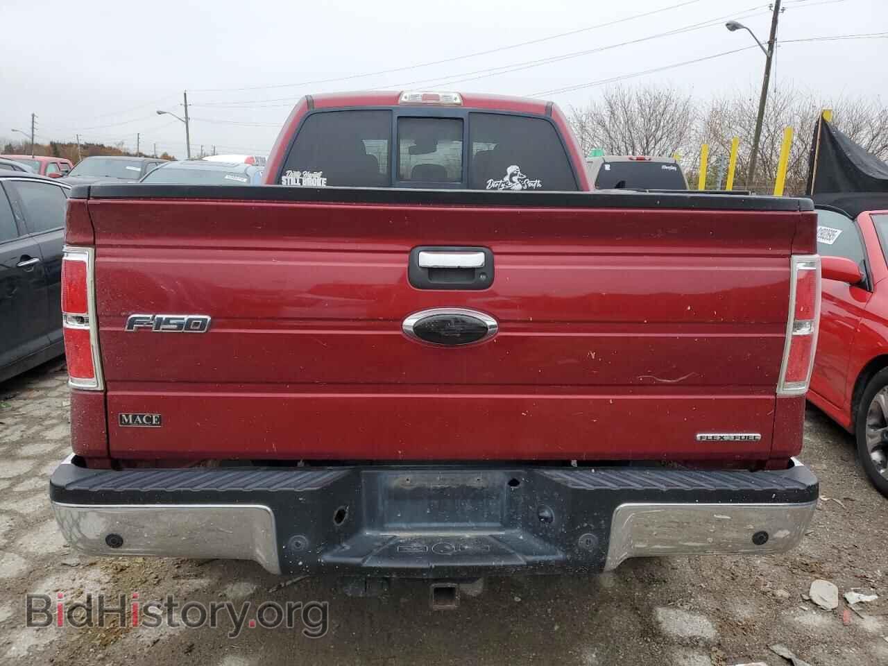 2013 FORD F-150 - VIN: 1FTFX1EF0DFB89633 - Фото 6