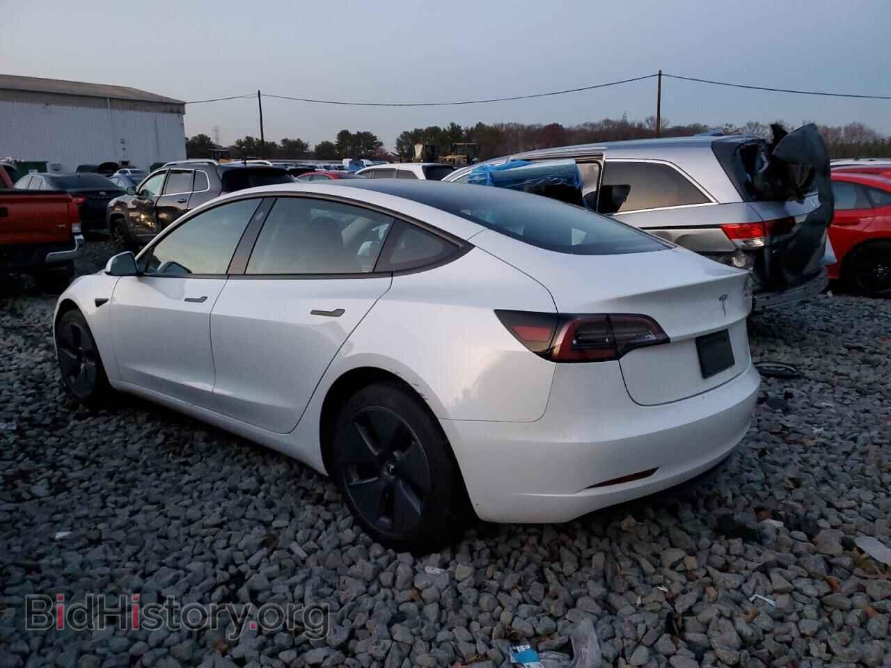 2023 TESLA MODEL 3 - VIN: 5YJ3E1EA1PF475688 - Photo 2