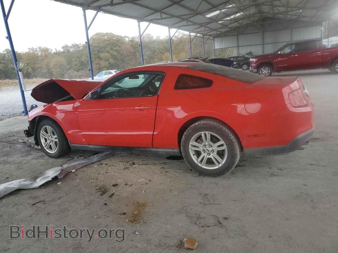 2011 FORD ALL Models - VIN: 1ZVBP8AM5B5136275 - Фото 2