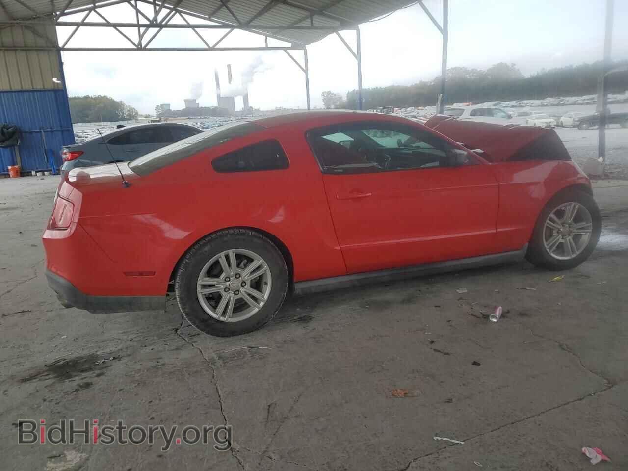 2011 FORD ALL Models - VIN: 1ZVBP8AM5B5136275 - Фото 3