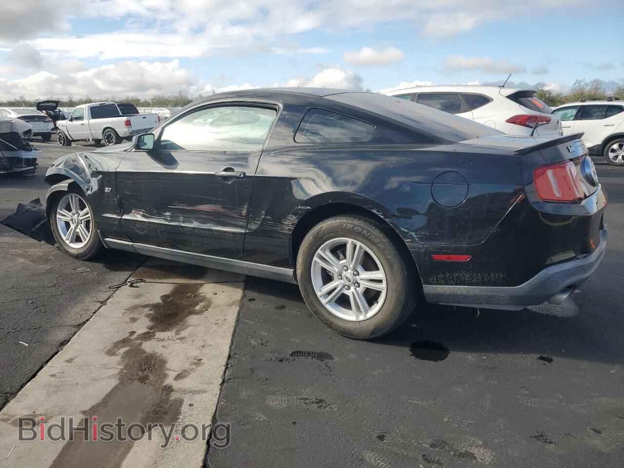 2012 FORD ALL Models - VIN: 1ZVBP8AM4C5201330 - Фото 2
