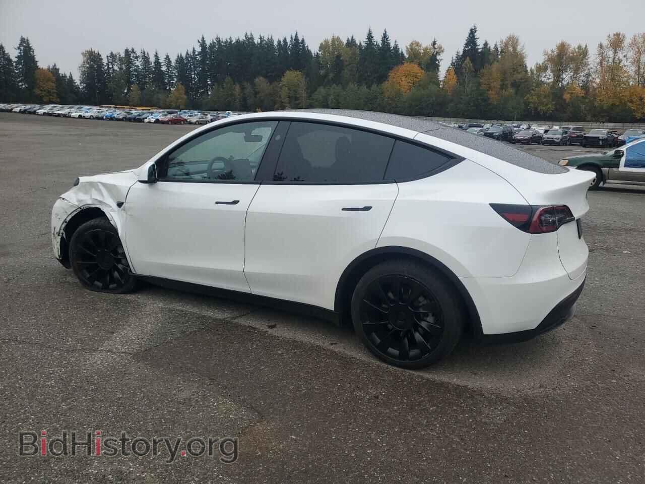 2024 TESLA MODEL Y - VIN: 7SAYGAEE7RF157373 - Photo 2