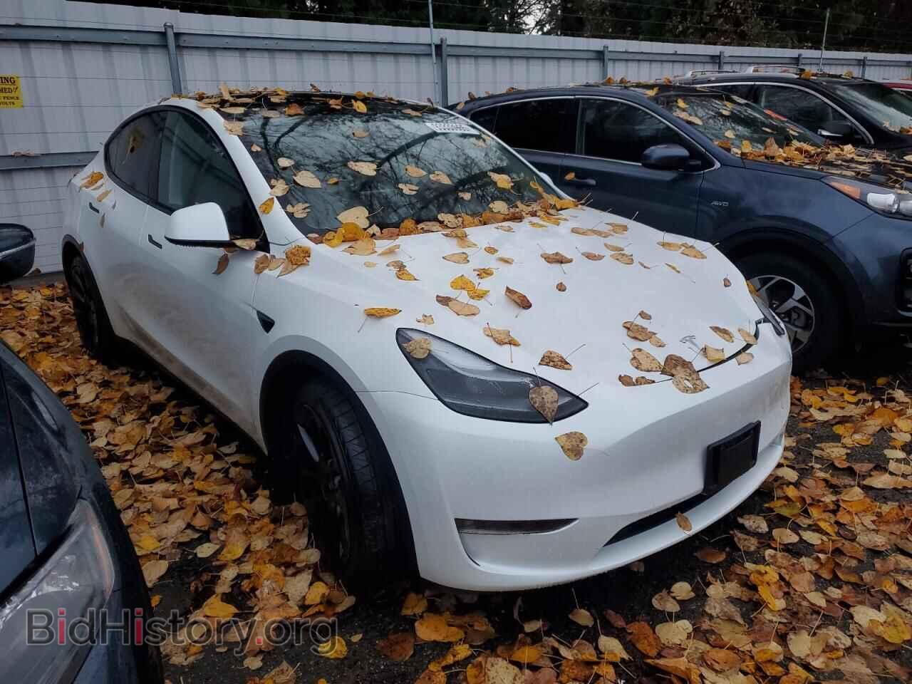 2024 TESLA MODEL Y - VIN: 7SAYGAEE7RF157373 - Photo 4