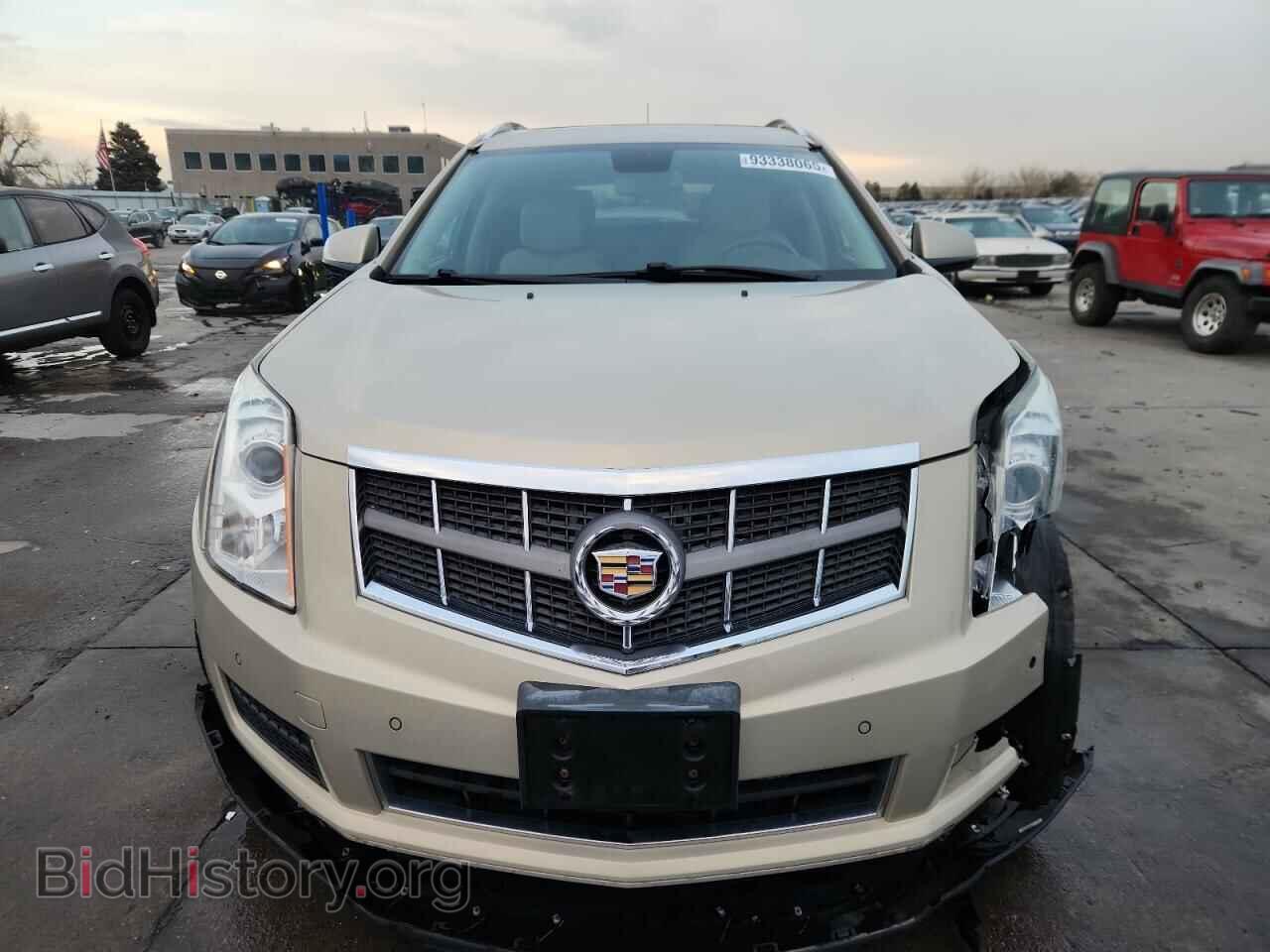 2011 CADILLAC SRX - VIN: 3GYFNDEY7BS611991 - Фото 5