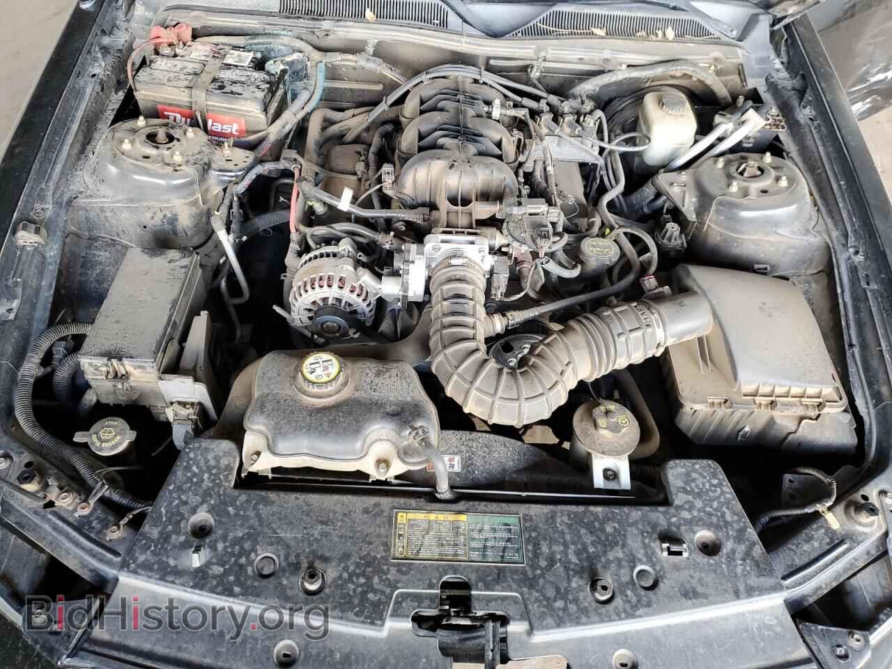 2006 FORD ALL Models - VIN: 1ZVFT80N365218213 - Photo 11