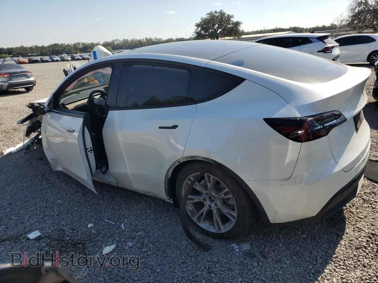 2023 TESLA MODEL Y - VIN: 7SAYGDEE8PF764557 - Фото 2