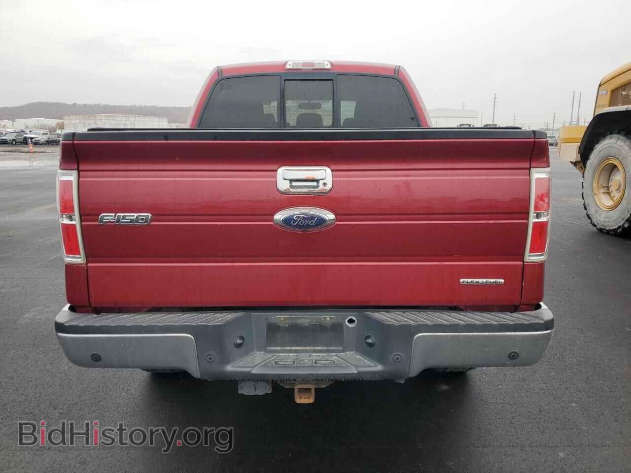 2013 FORD F-150 - VIN: 1FTFW1EF8DFA36971 - Фото 6